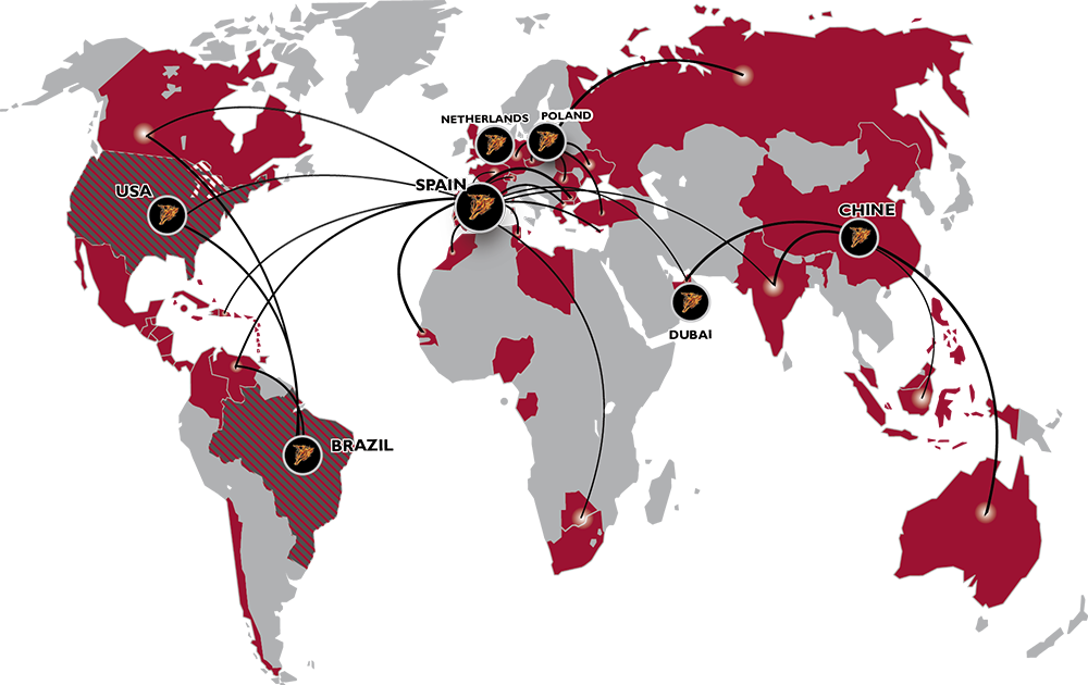 mapa intenational MatraX