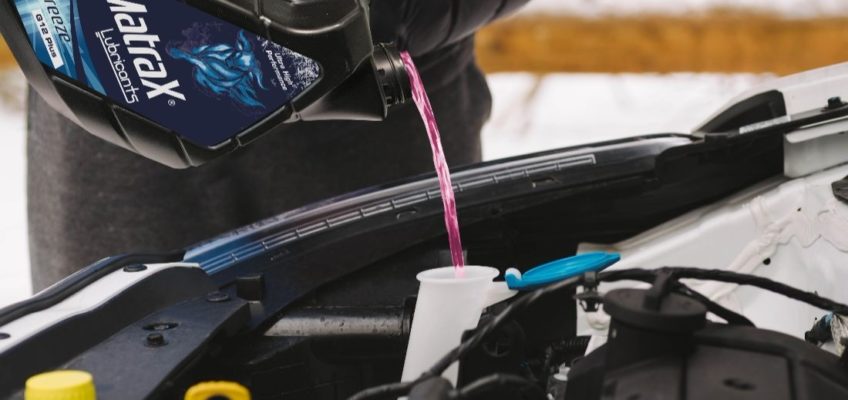 Antifreeze, an ally under extreme temperatures